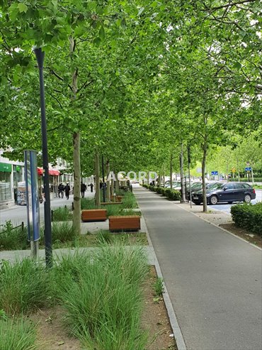 Nowoczesne 33 m² biuro z klimatyzacją i parkingiem mieszkanie Warszawa, Śródmieście, Śródmieście, Świętokrzyska