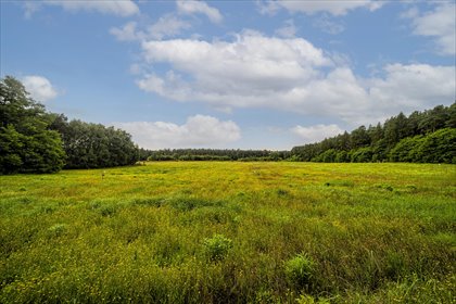 działka na sprzedaż 557m2 działka Rawa Mazowiecka, Ostatnie działki w tej cenie - 11 min od Rawy Maz