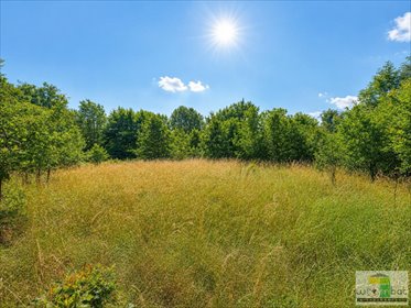 Działka budowlana w Pszenno 1575 m² - zapraszam działka Pszenno