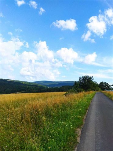 Działka 22 085 m2 z MPZP, widoki, asfaltowy dojazd działka Walim