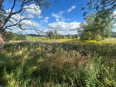 działka na sprzedaż 17200m2 działka Łomnica, Karpnicka