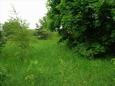 działka na sprzedaż 3650m2 działka Warszawa, Wesoła