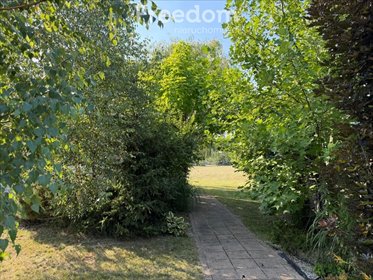Polecam dużą działkę 5112 m² w Cekanowie z potencjałem inwestycyjnym działka Cekanów