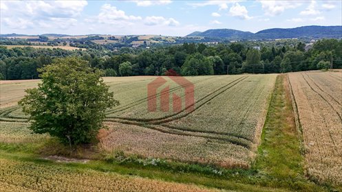 działka na sprzedaż 2800m2 działka Brzeziny