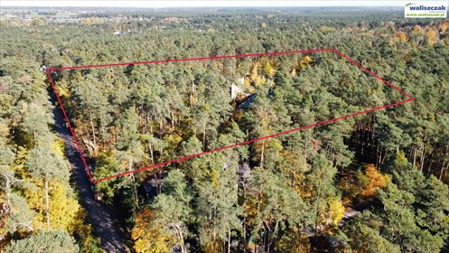 Na sprzedaż działka 38 800 m² z potencjałem uzdrowiskowym działka Włodzimierzów
