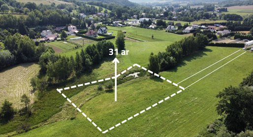 działka na sprzedaż 3100m2 działka Borek Stary