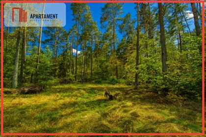 Działka 800 m² w Chwaszczynie z mediami i lasem - polecam! działka Chwaszczyno