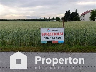 działka na sprzedaż 3000m2 działka Ziółków