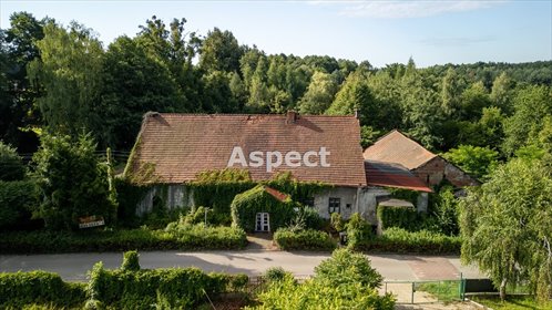 działka na sprzedaż 46640m2 działka Rybnik, Kamień pod Rzędówką