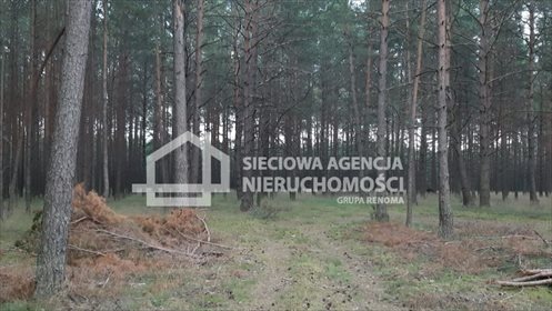 działka na sprzedaż 63500m2 działka Wdzydze Tucholskie