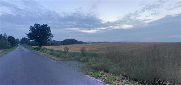 działka na sprzedaż 1800m2 działka Piotrkówek