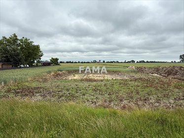 Działka 1500 m² z rozpoczętą budową domu - polecam! działka Kolonia Dębice