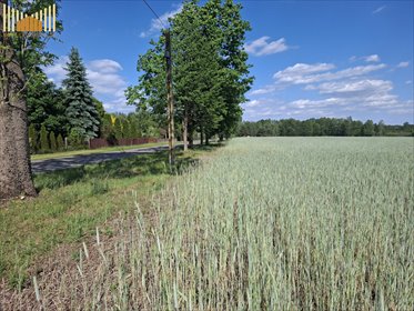 Działka 900-1050 m2 z mediami, blisko Warszawy działka Mrozy