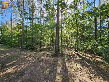 Działka 1500 m² w Wawrze z dostępem do dróg - polecam! działka Warszawa, Wawer, Ezopa