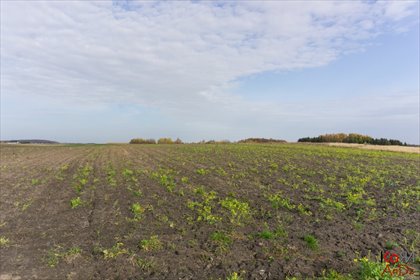 działka na sprzedaż 57400m2 działka Żółtańce