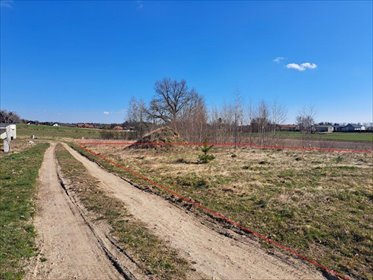 Działka 3004 m² w Skrzeszewie, bez planu zagospodarowania - polecam! działka Skrzeszewo, Skrzeszewo, Łanowa