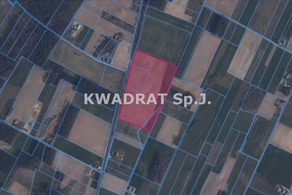 Działka inwestycyjna na sprzedaż Parzynów 66 076m2 Foto 3