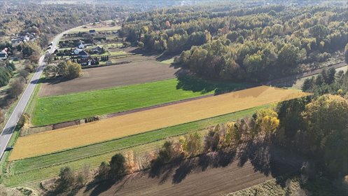 działka na sprzedaż 7200m2 działka Krynki, Krynki