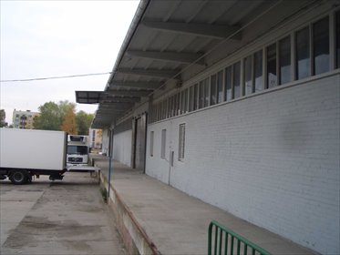 Magazyn na sprzedaż Legnica 5 050m2 Foto 2