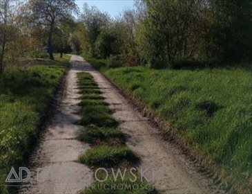 działka na sprzedaż 8707m2 działka Ryki