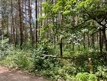 działka na sprzedaż 1144m2 działka Brańszczyk, Brańszczyk-Nakieł, Spokojna