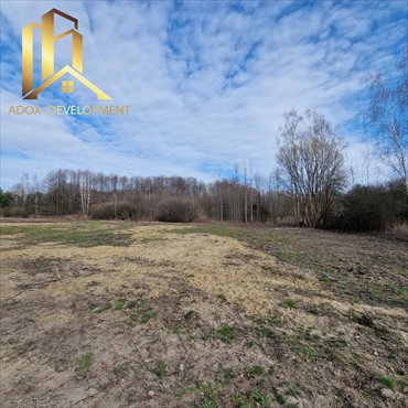 działka na sprzedaż 11735m2 działka Krupia Wólka, Polna