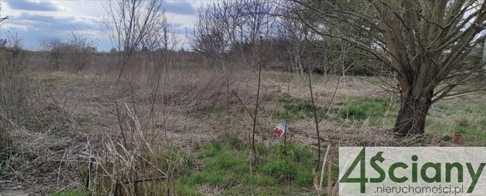 działka na sprzedaż 999m2 działka Święcice