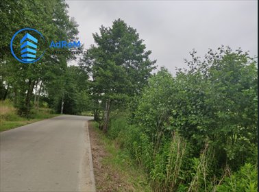 działka na sprzedaż 9373m2 działka Wilcza Wólka