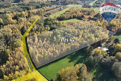 działka na sprzedaż 32500m2 działka Budy Michałowskie, Radziejowicka