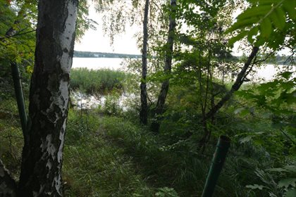 Działka rekreacyjna na sprzedaż Dąbrowa Górnicza, Pogoria 2 433m2 Foto 5