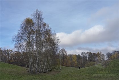 Na sprzedaż działka 8,44 ha w pięknej okolicy, idealna pod inwestycję działka Sarnikierz