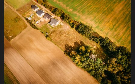 Działka z lasem i mediami, idealna pod zabudowę i rekreację działka Dobra Nadzieja