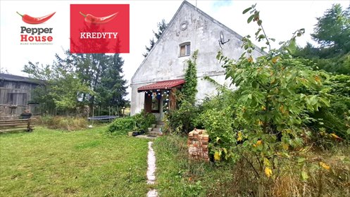 Na sprzedaż dom z historią i dużym ogrodem w Zielonczynie dom Zielonczyn