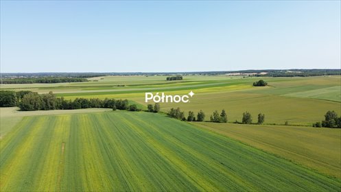 Zapraszam do zakupu działki rolnej 1 ha z dojazdem w Parzycach działka Parzyce