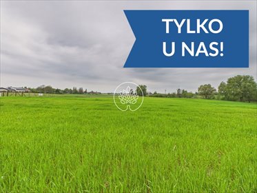 Atrakcyjne działki w Jaworzu – spokój i natura! działka Jaworze