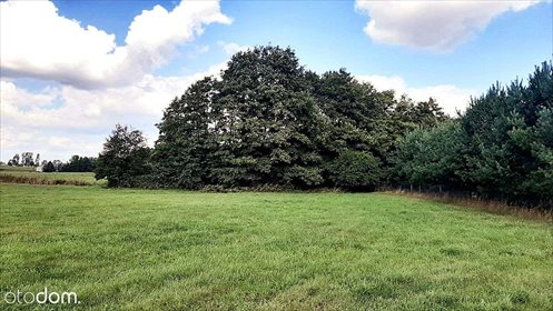 działka na sprzedaż 2021m2 działka Bakałarzewo