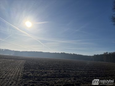 działka na sprzedaż 13400m2 działka Racimierz