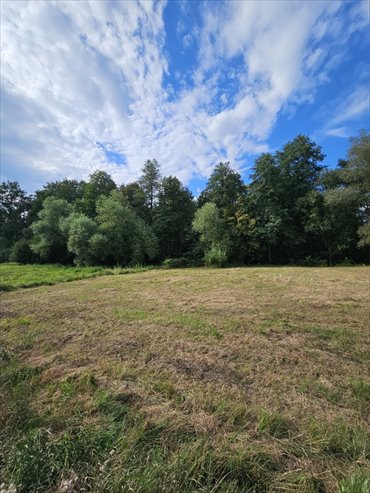 działka na sprzedaż 1200m2 działka Siepraw, Siepraw, Na Grobli