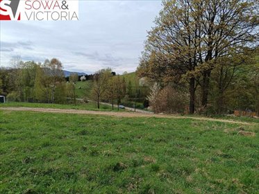 działka na sprzedaż 2016m2 działka Głuszyca