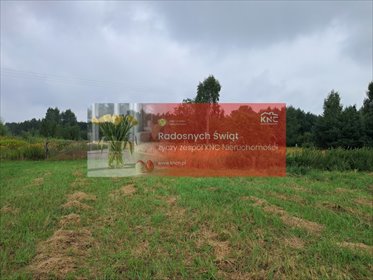 działka na sprzedaż 12400m2 działka Opole Lubelskie, Zagrody