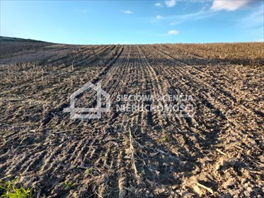 Działka budowlana 1000 m² w Żukowie - zapraszam działka Żukowo