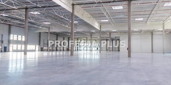 lokal użytkowy na wynajem 5100m2 lokal użytkowy Chorzów