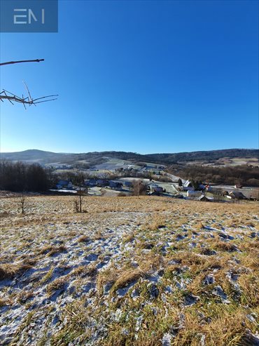 Działka budowlana na sprzedaż Żyznów 9 600m2 Foto 3