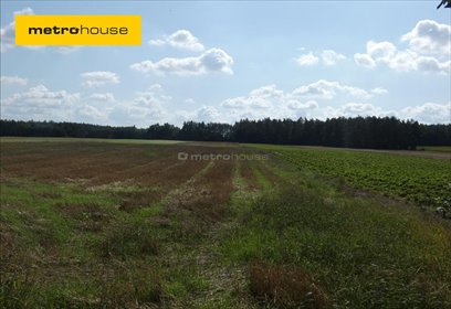 działka na sprzedaż 60500m2 działka Drochowo