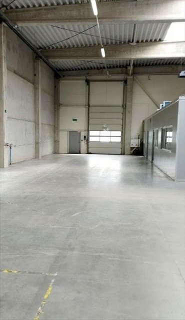 lokal użytkowy na wynajem 1188m2 lokal użytkowy Katowice
