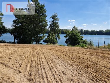 działka na sprzedaż 17000m2 działka Wiewiórczyn