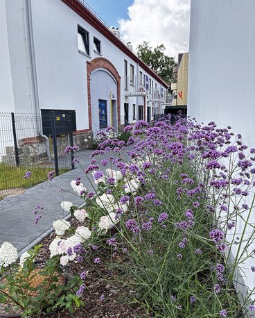 Sprzedam unikatowe mieszkanie 56,65 m² w zabytkowym folwarku mieszkanie Wrocław, Krzyki, Wojszyce