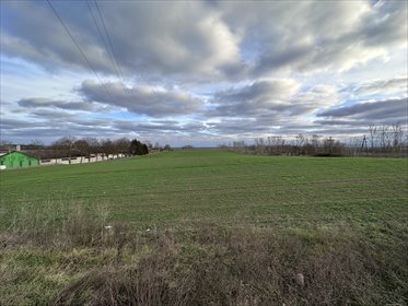 Sprzedam działkę inwestycyjną 44 900 m² przy DK13 w Kołbaskowie działka Kołbaskowo