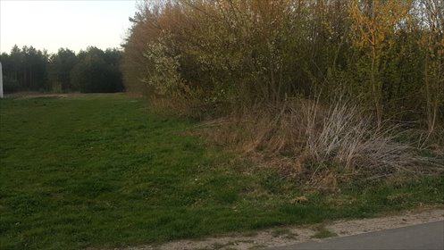 działka na sprzedaż 3100m2 działka Chotcza, Siekierka Nowa