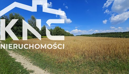 działka na sprzedaż 3342m2 działka Karczmiska Drugie